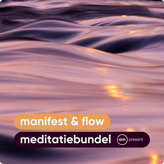 Manifest & Flow meditatiebundel